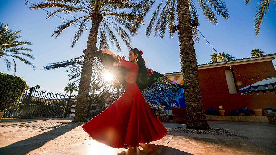 Flamenco dancer