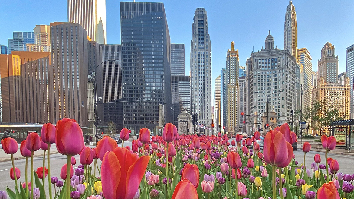 Spring into Savings, Limited Time Offer 