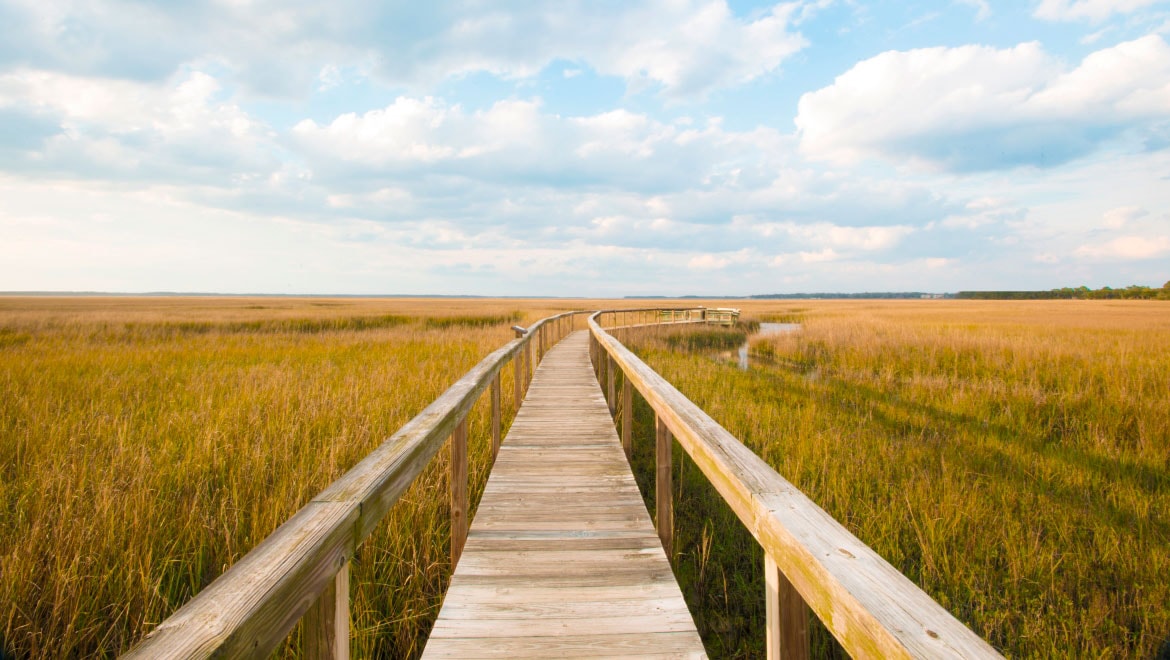 Boardwalk at  