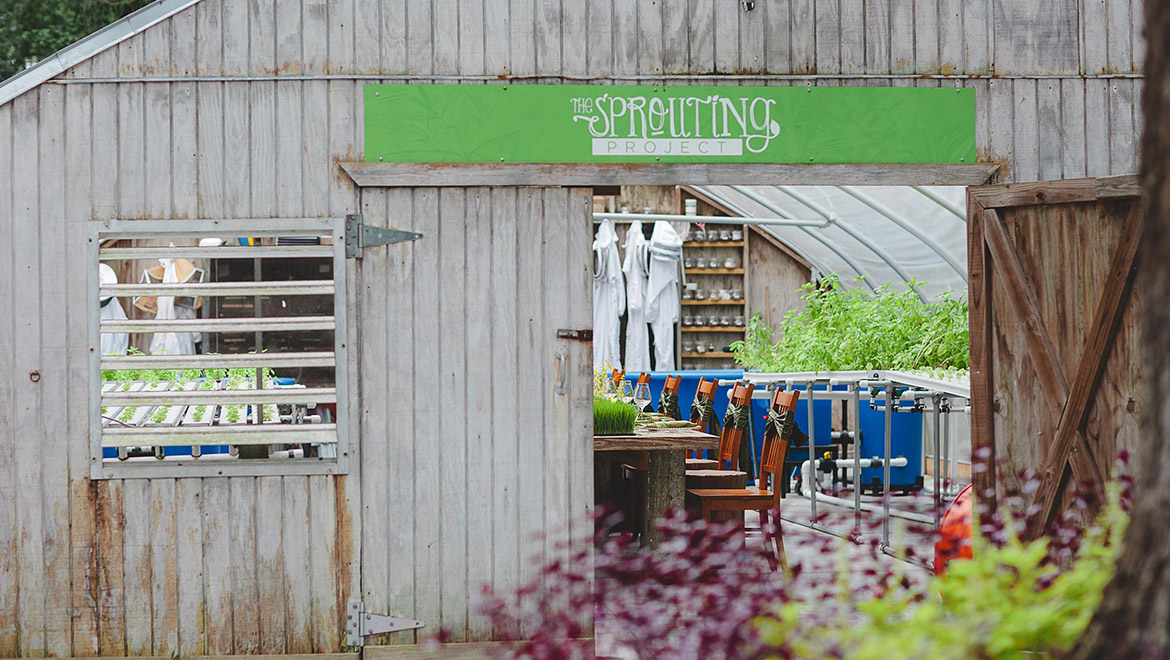 Sprouting Project Greenhouse