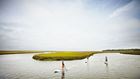 Paddleboarding in the Intracoastal Waterway