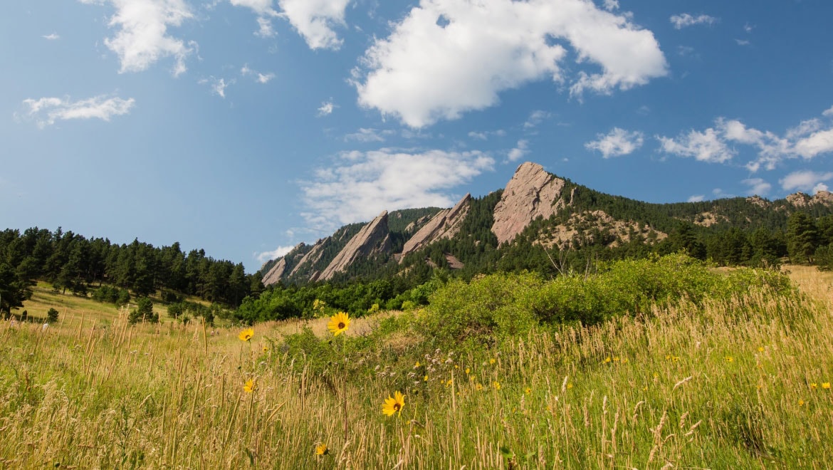 View of the mountains