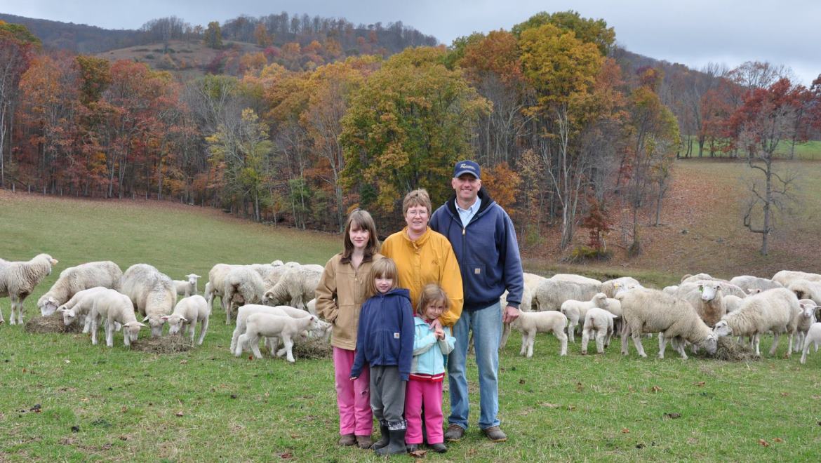 Family with herd of sheep