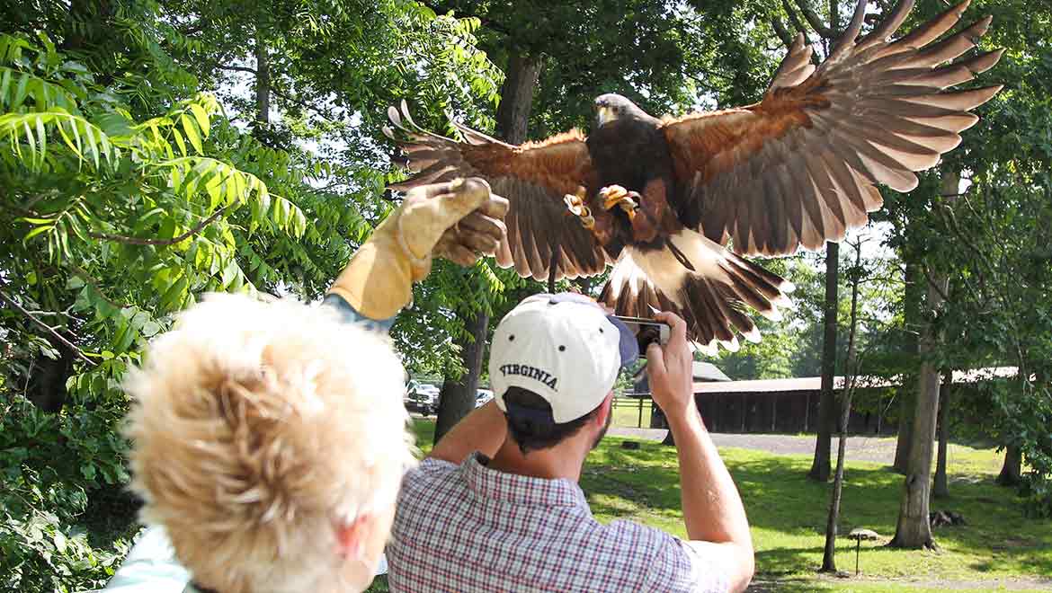 Omni Homestead Resort