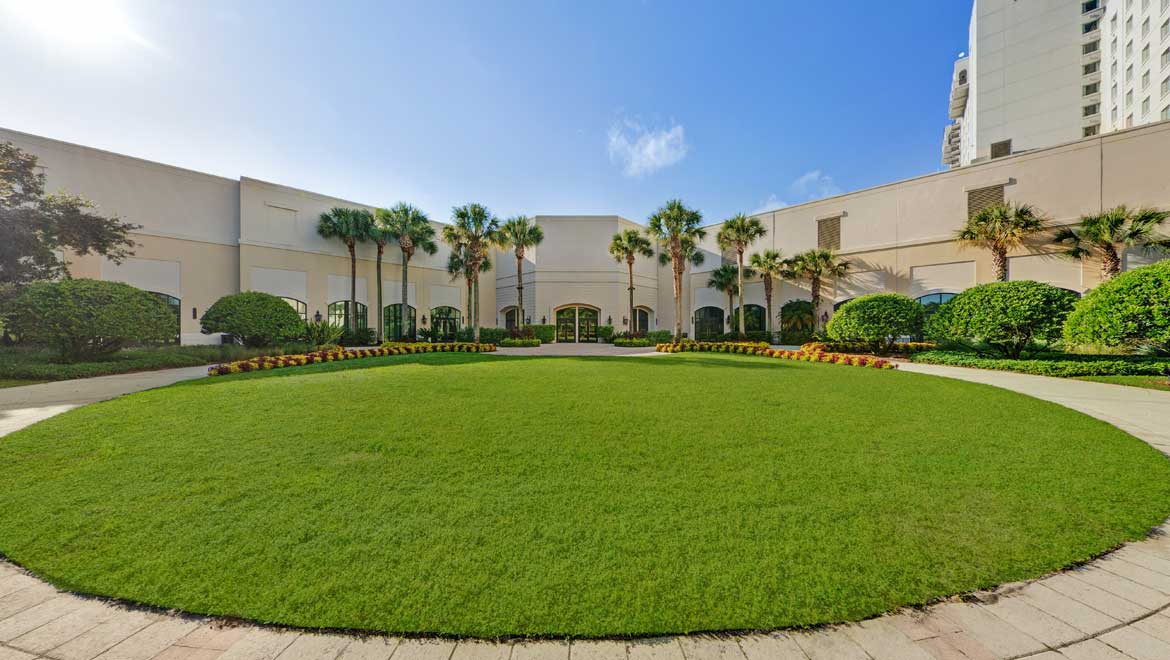 Lawn area