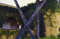 Omni Scottsdale History X Trees