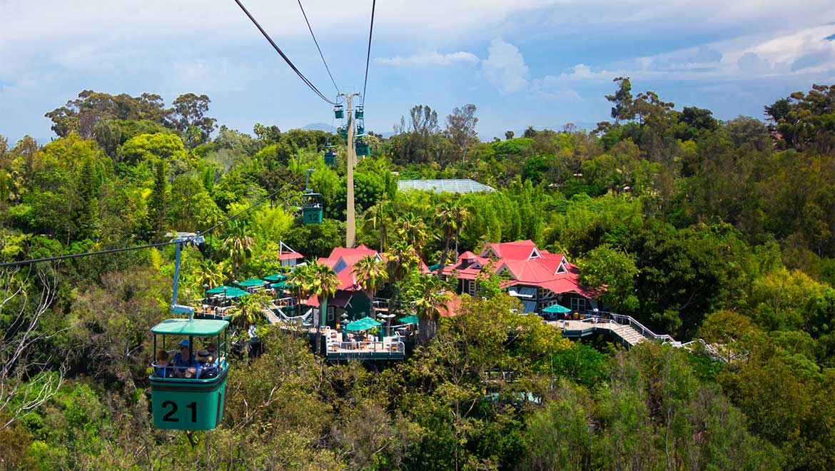 Aerial of San Diego Zoo