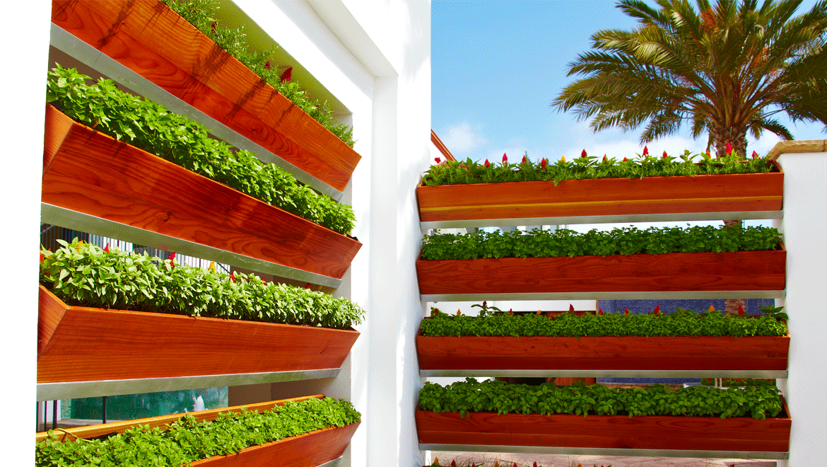 herb wall